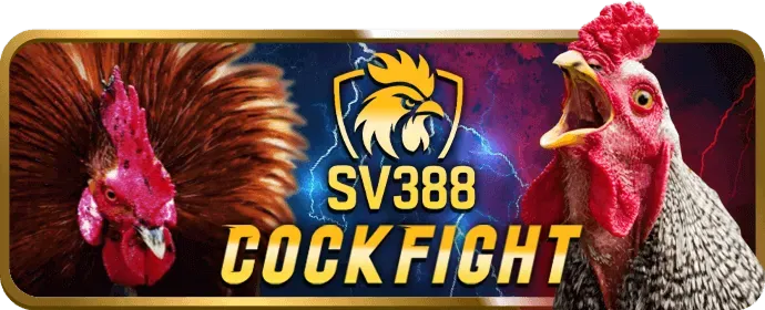 Cá cược Thể Thao tại AEBET WIN