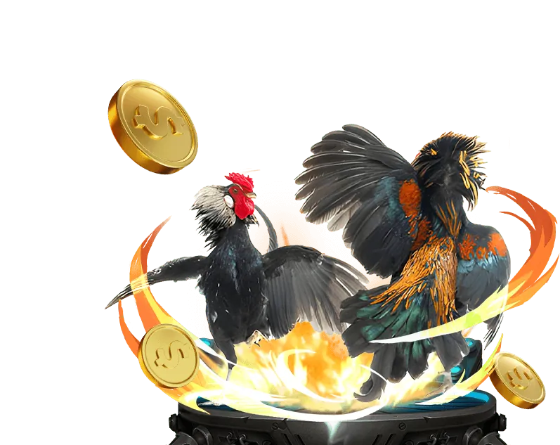 Tổng quan các chương trình khuyến mãi của AEBET Win